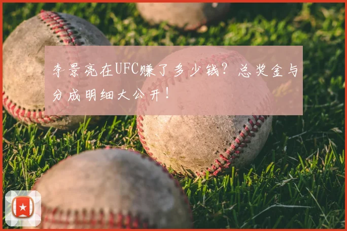 李景亮在UFC赚了多少钱？总奖金与分成明细大公开！