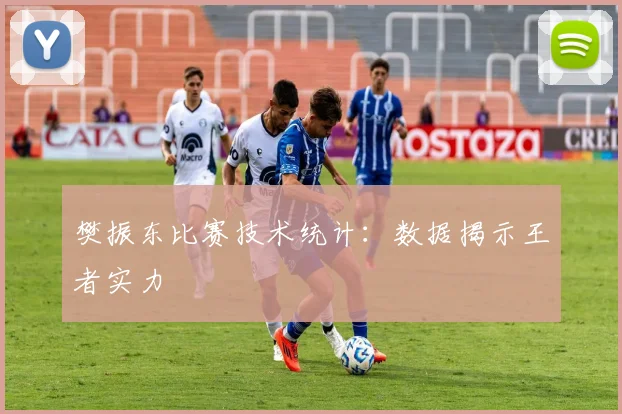 樊振东比赛技术统计：数据揭示王者实力