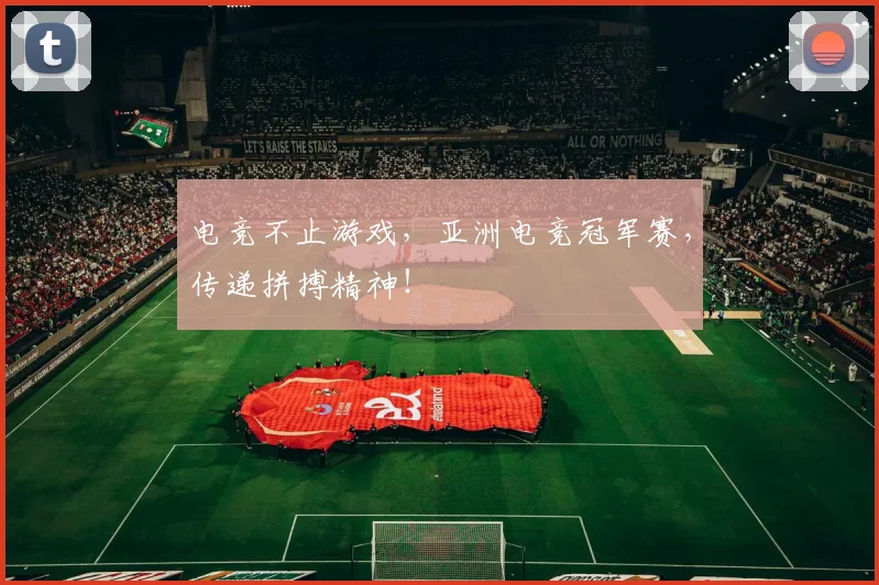 电竞不止游戏，亚洲电竞冠军赛，传递拼搏精神！