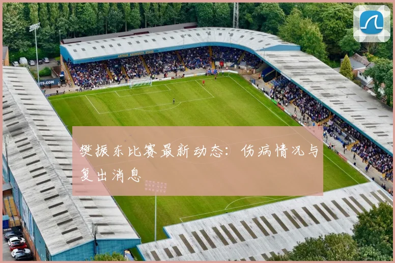 樊振东比赛最新动态:伤病情况与复出消息