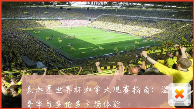 美加墨世界杯加拿大观赛指南：温哥华与多伦多主场体验