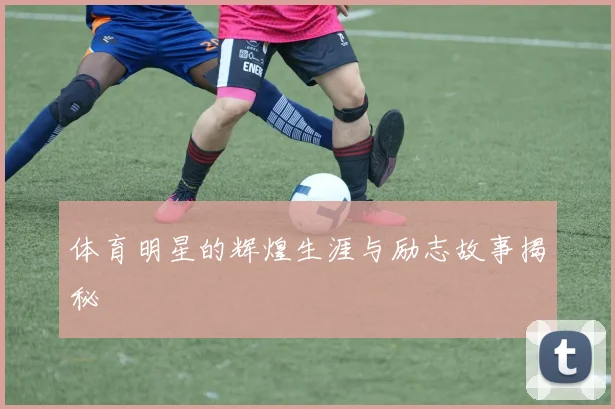 体育明星的辉煌生涯与励志故事揭秘