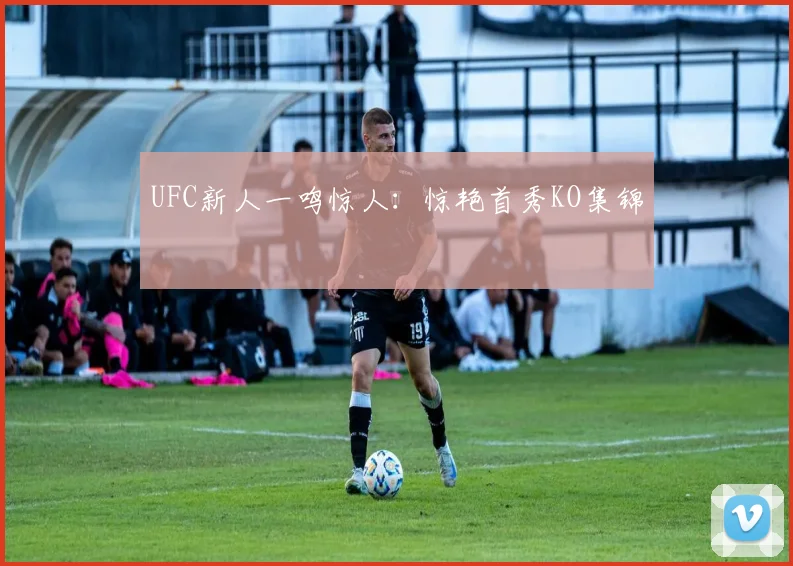 UFC新人一鸣惊人:惊艳首秀KO集锦