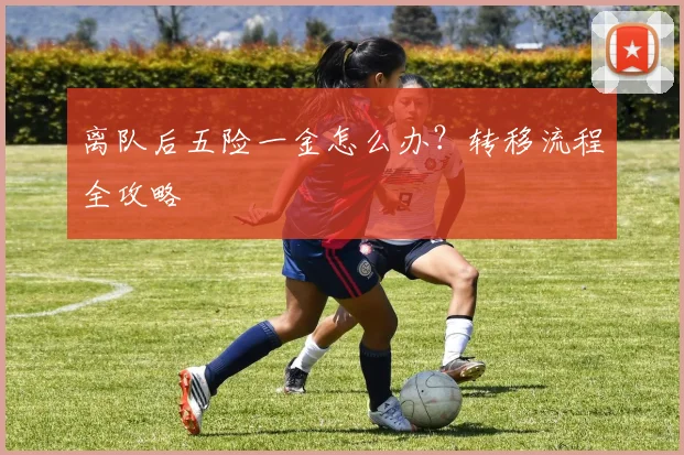 离队后五险一金怎么办?转移流程全攻略
