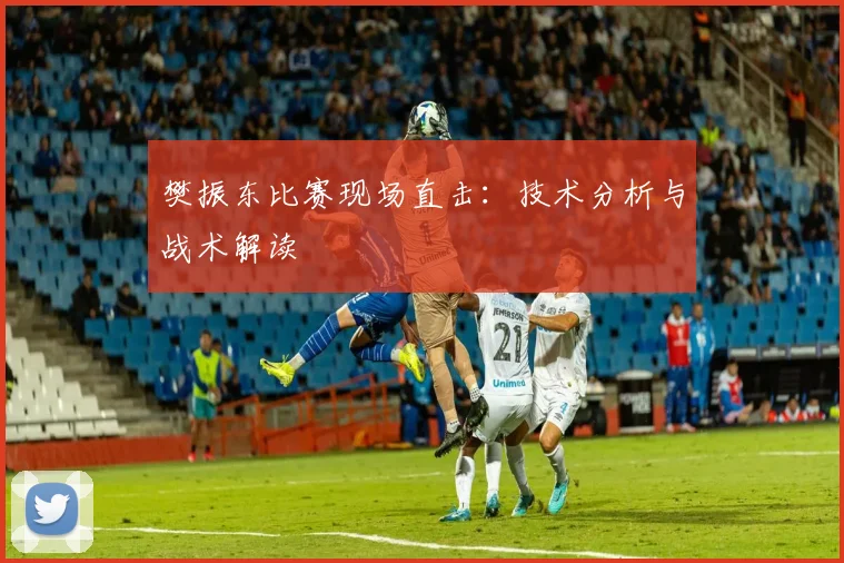 樊振东比赛现场直击:技术分析与战术解读