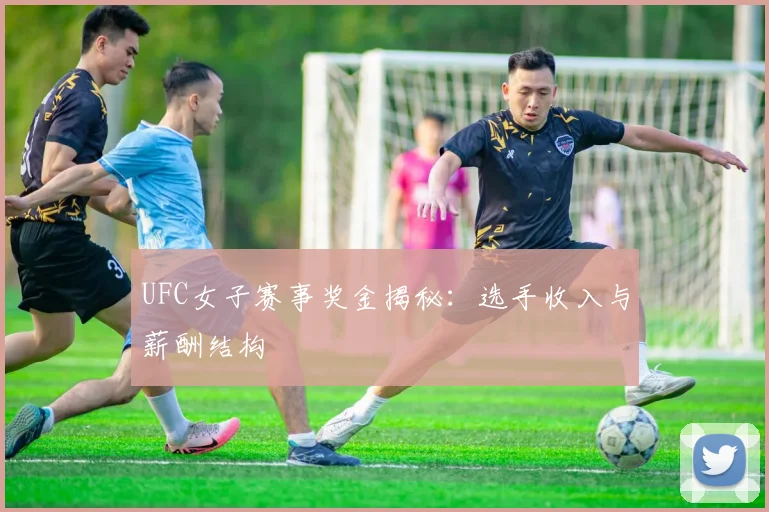 UFC女子赛事奖金揭秘：选手收入与薪酬结构