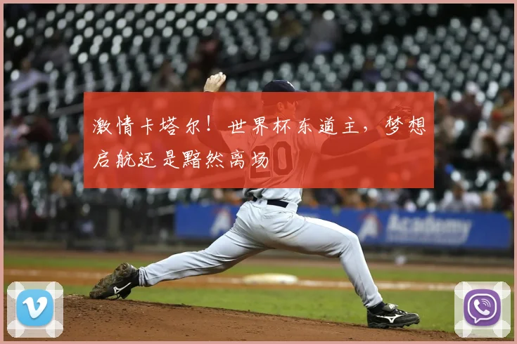 激情卡塔尔！世界杯东道主，梦想启航还是黯然离场