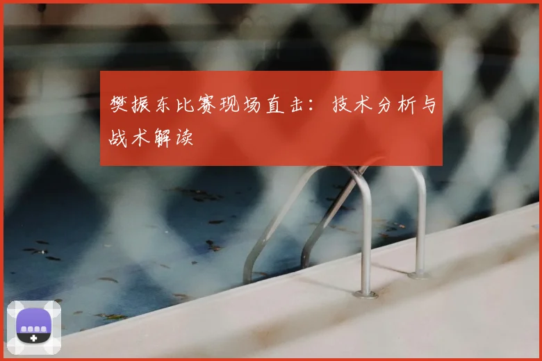 樊振东比赛现场直击：技术分析与战术解读