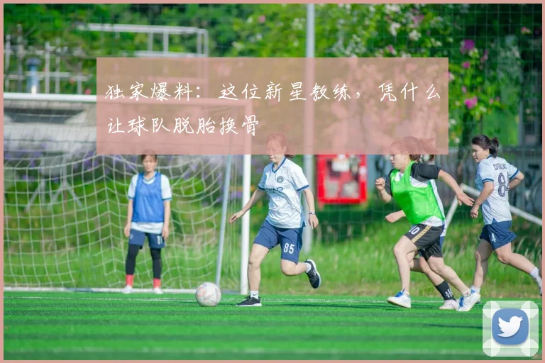 独家爆料：这位新星教练，凭什么让球队脱胎换骨