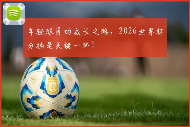 年轻球员的成长之路,2026世界杯分档是关键一环!